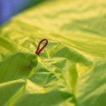 AirDesign UFO-Bi - Image 10