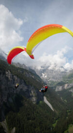 Advance BIBETA 6 - Image 3