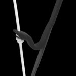 Advance SIGMA 12 DLS - Image 18