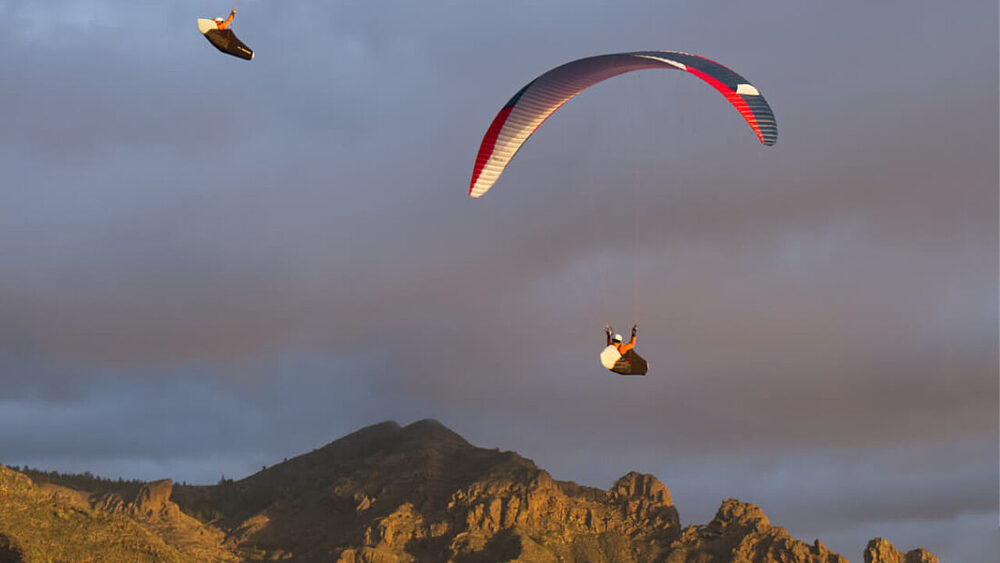 adv-taudls-01 Advance TAU DLS - Image 1