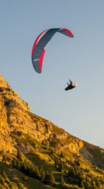 Advance TAU DLS - Image 3